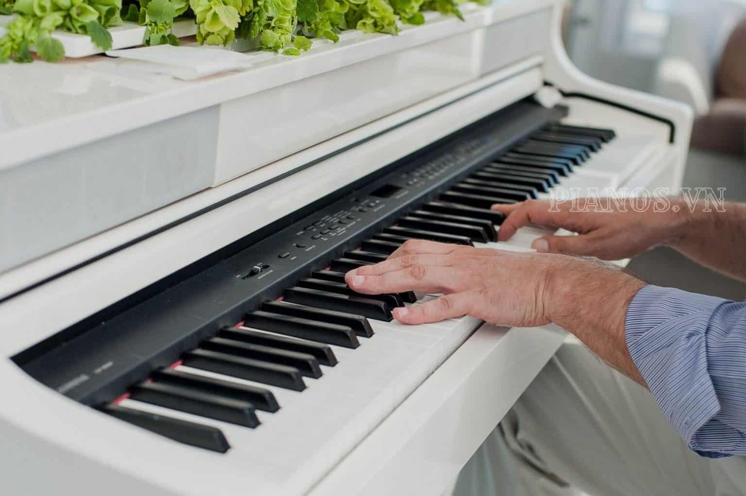 Electric Piano Repair Price List Thien Di Piano 【Repairing, Shipping, Evaluation, Sales