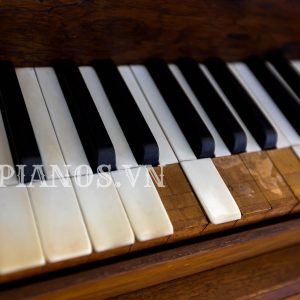 Thay Phím Trắng đàn Piano